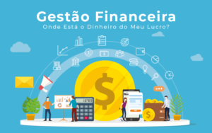 Gestao Financeira Onde Esta O Dinheiro Do Meu Lucro Blog Liz Assessoria Financeira - PORTAL CONTABILIDADE